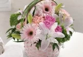 Basket Of Love